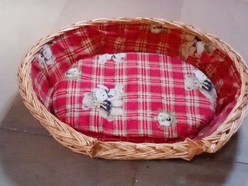Hunde katzen korb - korb, weide