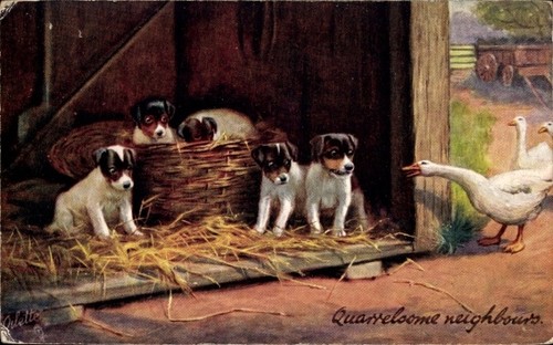 Künstler hundewelpen - künstler,