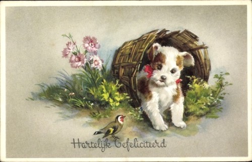 Glückwunsch hund - glückwunsch,,