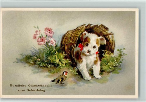 10166362 geburtstag hund - 10166362,